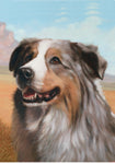 Australian Shepherd  Blue Merle - Best of Breed Portrait Outdoor Flag