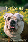 Bulldog  - Close Encounters of the Furry Kind Welcome  House and Garden Flags