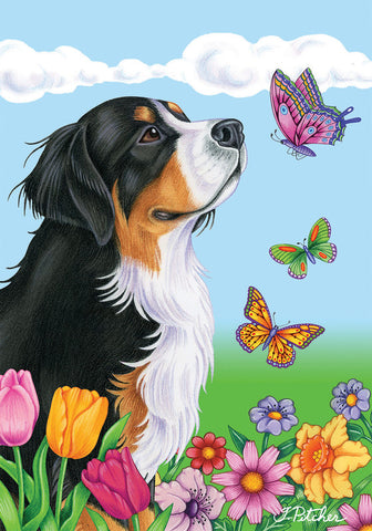 Bernese Mountain Dog -  Best of Breed Butterfly Outdoor Flag
