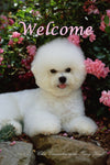 Bichon Frise - Close Encounters of the Furry Kind Welcome  House and Garden Flags
