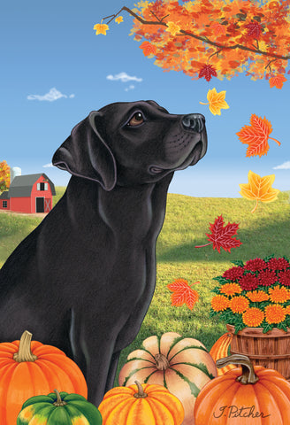 Black Labrador - Tomoyo Pitcher Autumn Leaves Outdoor Flag