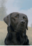 Black Labrador - Best of Breed Portrait Outdoor Flag