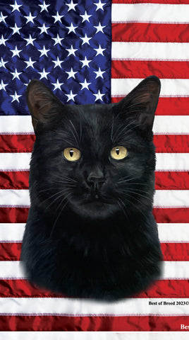 Shorthair Black Cat - Best of Breed Patriotic Terry Velour Microfiber Beach Towel 30" x 60"