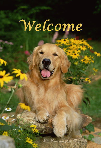 Golden Retriever - Close Encounters of the Furry Kind Welcome  House and Garden Flags