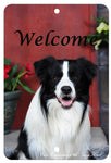 Border Collie - Best of Breed  Indoor/Outdoor Aluminum Sign 8" x 12"