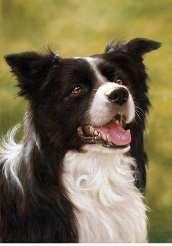 Border Collie - Best of Breed Portrait Outdoor Flag