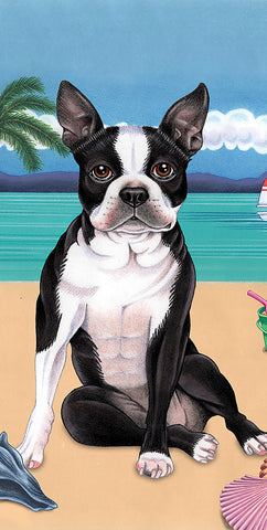 Boston Terrier - Best of Breed Terry Velour Microfiber Beach Towel 30" x 60"