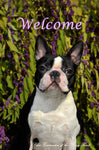 Boston Terrier - Close Encounters of the Furry Kind Welcome  House and Garden Flags