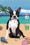 BostonTerrier - Tomoyo Pitcher Summer Beach Outdoor Flag