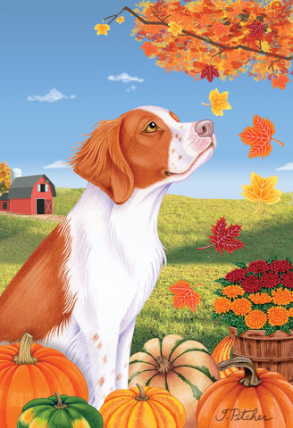 Brittany Spaniel - Tomoyo Pitcher Autumn Leaves Outdoor Flag