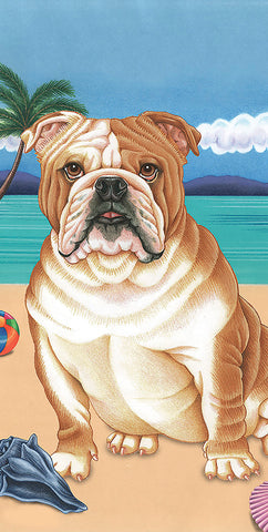 Bulldog - Best of Breed Terry Velour Microfiber Beach Towel 30" x 60"