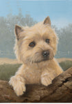 Cairn Terrier - Best of Breed Portrait   Outdoor Flag..