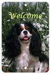 Cavalier King Charles Tri  - Best of Breed  Indoor/Outdoor Aluminum Sign 8" x 12"