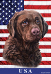 Chesapeake Bay Retriever - Best of Breed All-American II Outdoor Flag