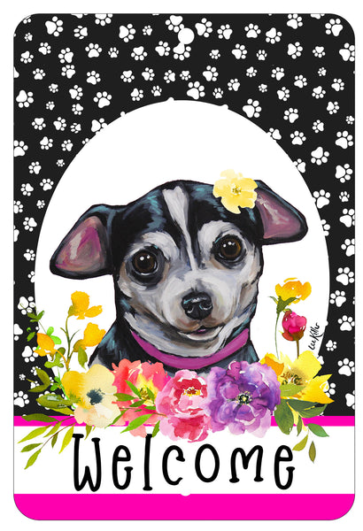 chihuahua-Black_b228ed94-0fb1-