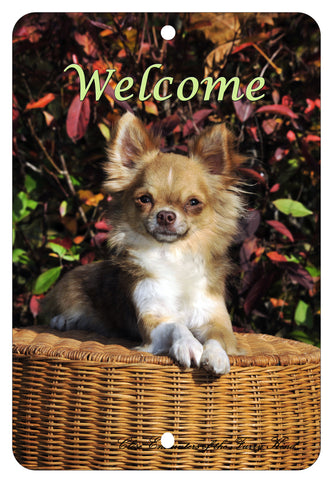 Chihuahua Longhair - Best of Breed  Indoor/Outdoor Aluminum Sign 8" x 12"