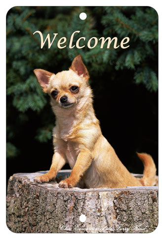 Chihuahua  - Best of Breed  Indoor/Outdoor Aluminum Sign 8" x 12"