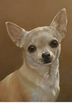 Chihuahua Tan - Best of Breed Portrait   Outdoor Flag