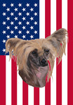 Chinese Crested - Best of Breed American Flags House and Garden Size
