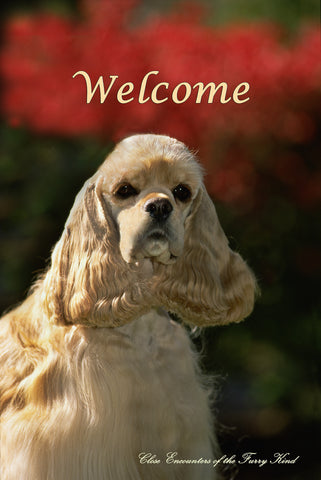 Cocker Spaniel Buff - Close Encounters of the Furry Kind Welcome  House and Garden Flags