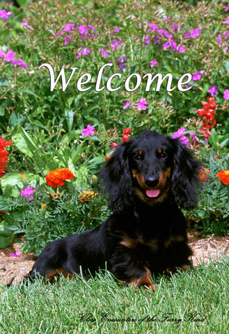 Dachshund Black/Tan  - Close Encounters of the Furry Kind Welcome  House and Garden Flags