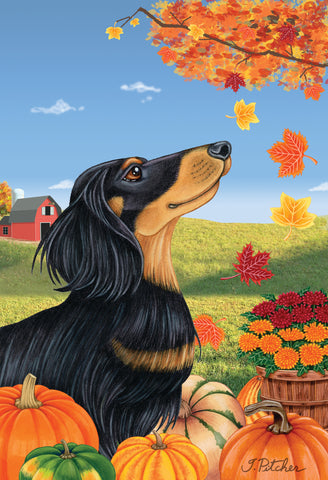 Dachshund  Black/Tan Longhaired - Tomoyo Pitcher Autumn Leaves Outdoor Flag