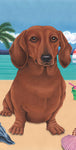 Dachshund  Red - Best of Breed Terry Velour Microfiber Beach Towel 30" x 60"