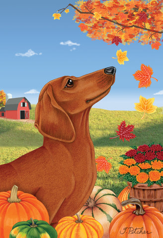 Dachshund Red - Tomoyo Pitcher  Falling Leaves Garden Flag