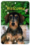 Dachshund Wirehair - Best of Breed  Indoor/Outdoor Aluminum Sign 8" x 12"