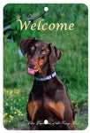 Doberman Uncropped - Best of Breed  Indoor/Outdoor Aluminum Sign 8" x 12"