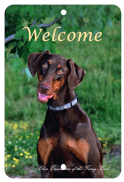 doberman-Red-