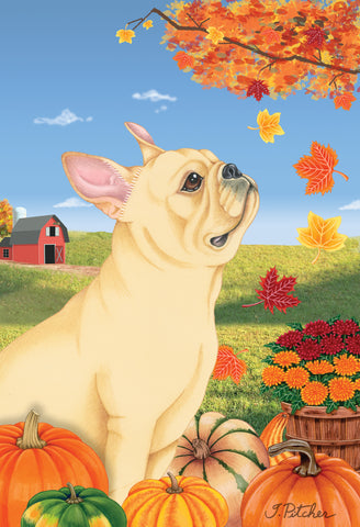 French Bulldog Cream - Tomoyo Pitcher Autumn Leaves Outdoor Flag