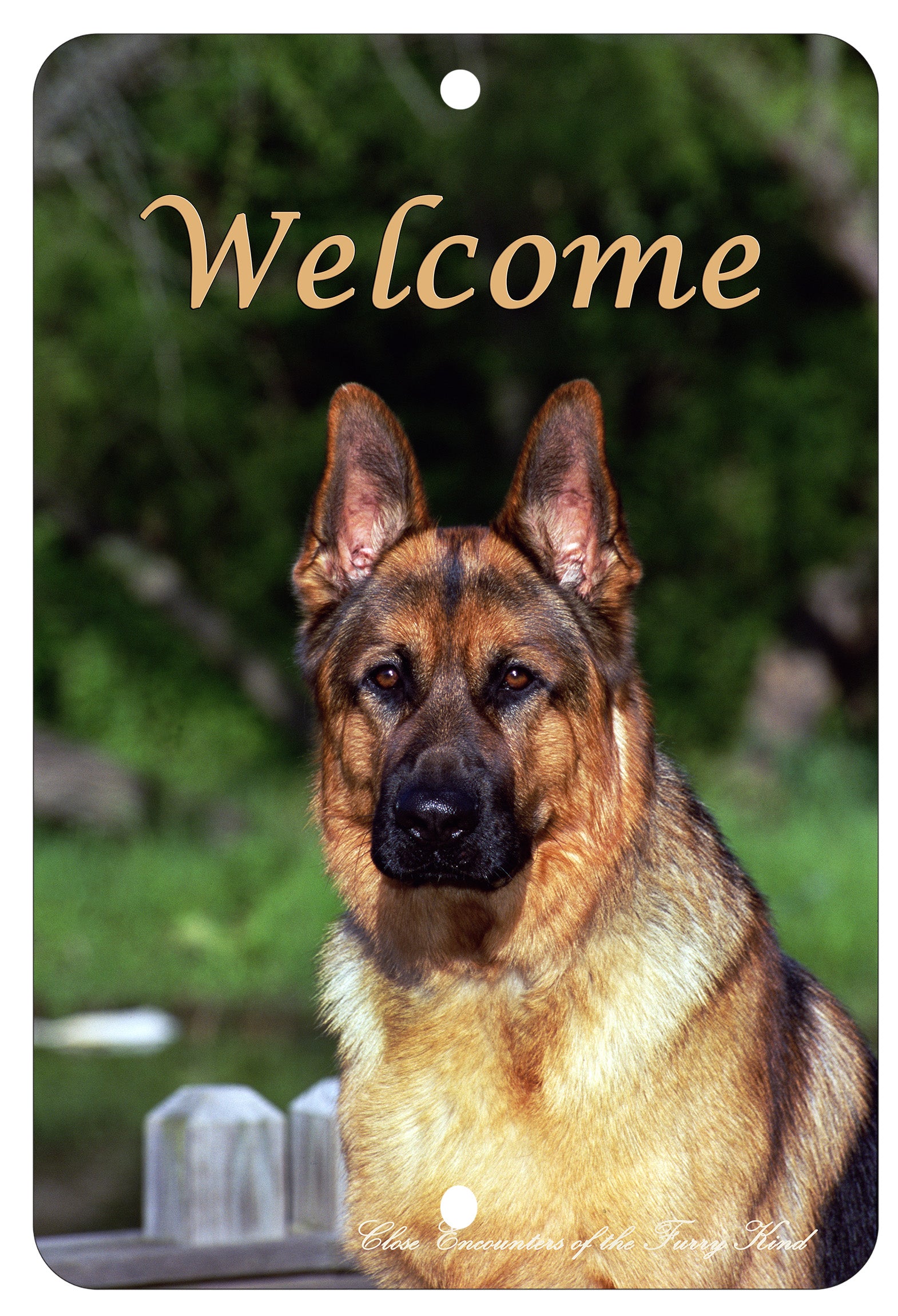 German Shepherd - Best of Breed Indoor/Outdoor Aluminum Sign 8