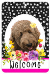 Goldendoodle Apricot - HHS Paw Prints Welcome Indoor/Outdoor Aluminum Sign 8" x 12"