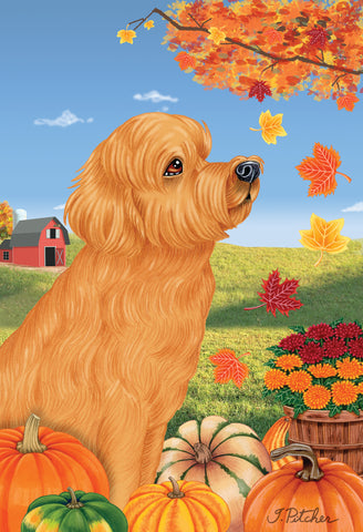 Goldendoodle Red  -  Tomoyo Pitcher Autumn Leaves Outdoor Flag