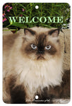Himalayan Cat - Best of Breed  Indoor/Outdoor Aluminum Sign 8" x 12"