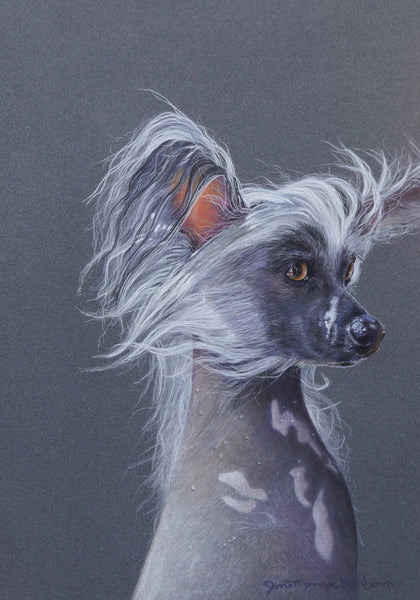 Chinese Crested  - Joni Monroe Beinborn Portrait House and Garden Flag