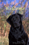 Black Labrador - Close Encounters of the Furry Kind Welcome  House and Garden Flags