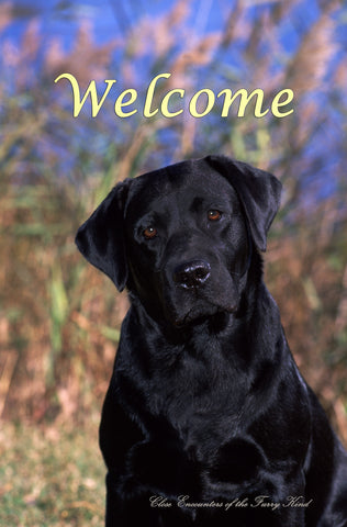 Black Labrador - Close Encounters of the Furry Kind Welcome  House and Garden Flags