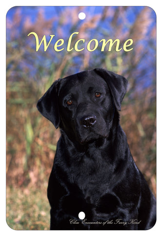 Black Labrador - Best of Breed  Indoor/Outdoor Aluminum Sign 8" x 12"
