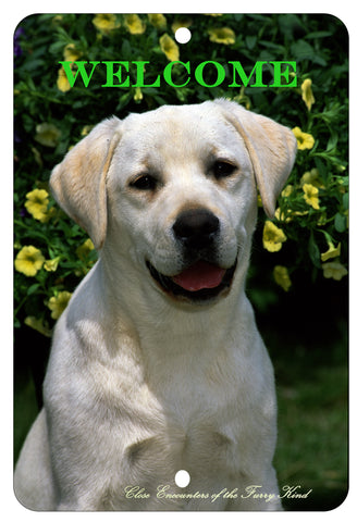 Yellow Labrador - Best of Breed  Indoor/Outdoor Aluminum Sign 8" x 12"
