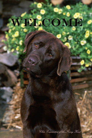 Labrador Chocolate - Close Encounters of the Furry Kind Welcome  House and Garden Flags