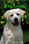 Labrador Yellow - Close Encounters of the Furry Kind Welcome  House and Garden Flags