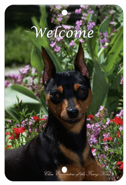 Miniature Pinscher  - Best of Breed  Indoor/Outdoor Aluminum Sign 8" x 12"
