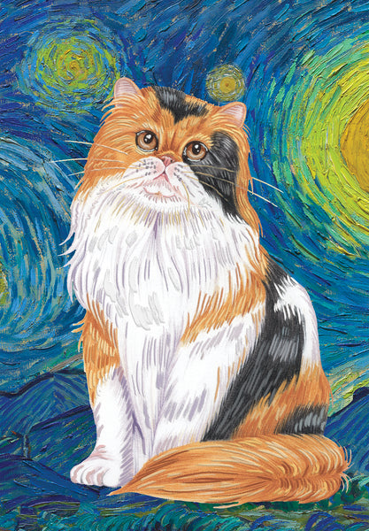 persian-Calico_f5e59b41-d899-