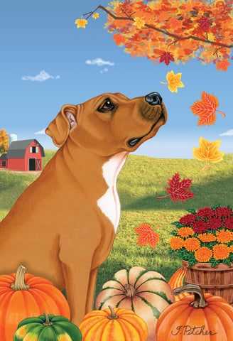 Pit Bull Tan - Tomoyo Pitcher Autumn Leaves Outdoor Flag