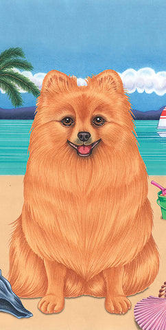 Pomeranian - Best of Breed Terry Velour Microfiber Beach Towel 30" x 60"