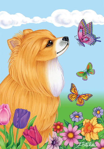 Pomeranian - Best of Breed Butterfly Garden Flag 12" x 17"