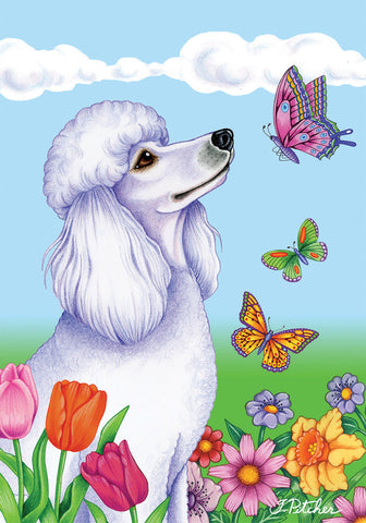Poodle White- Best of Breed Butterfly Garden Flag 12" x 17"