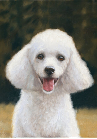Poodle White- Best of Breed Portrait   Outdoor Flag
